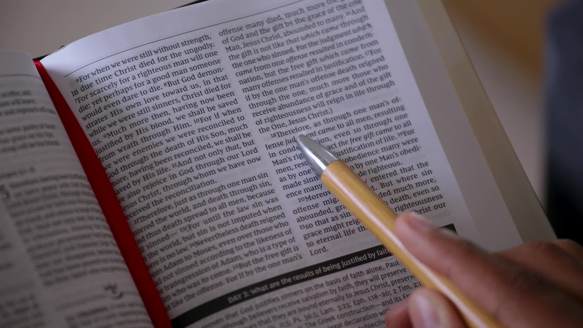 Image of The NKJV, MacArthur Daily Bible, 2nd Edition, Paperback, Comfort Print: A Journey Through God's Word in One Year