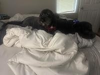 Review Image by Candace Sanchez Candace Sanchez