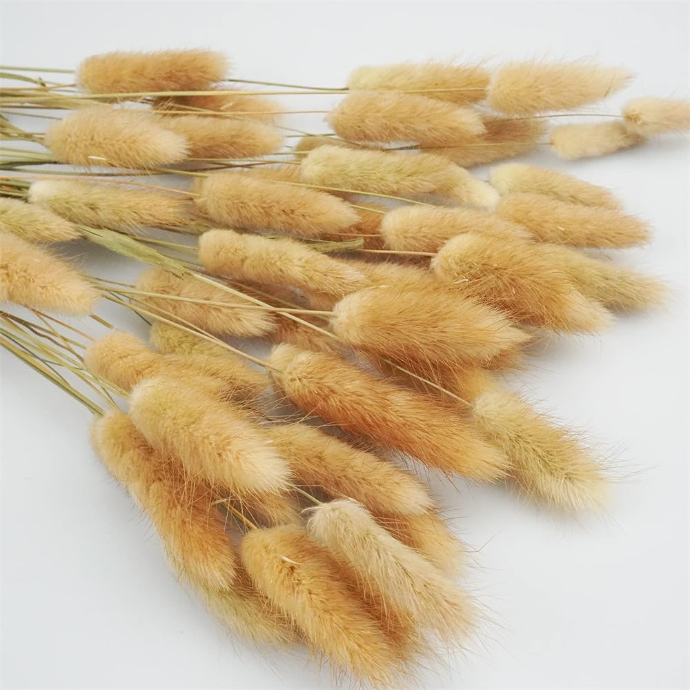 Dried Flowers Bouquet Natural， Fiori secchi bouquet naturale(Yellow,50Pcs)