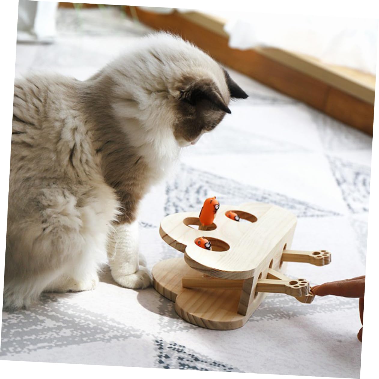 TOYANDONA Katzenspielzeug Holz Interaktives Maus Fangspiel Kreatives Haustier Spielzeug Mit Katzenminze Für Katzen Und Kätzchen