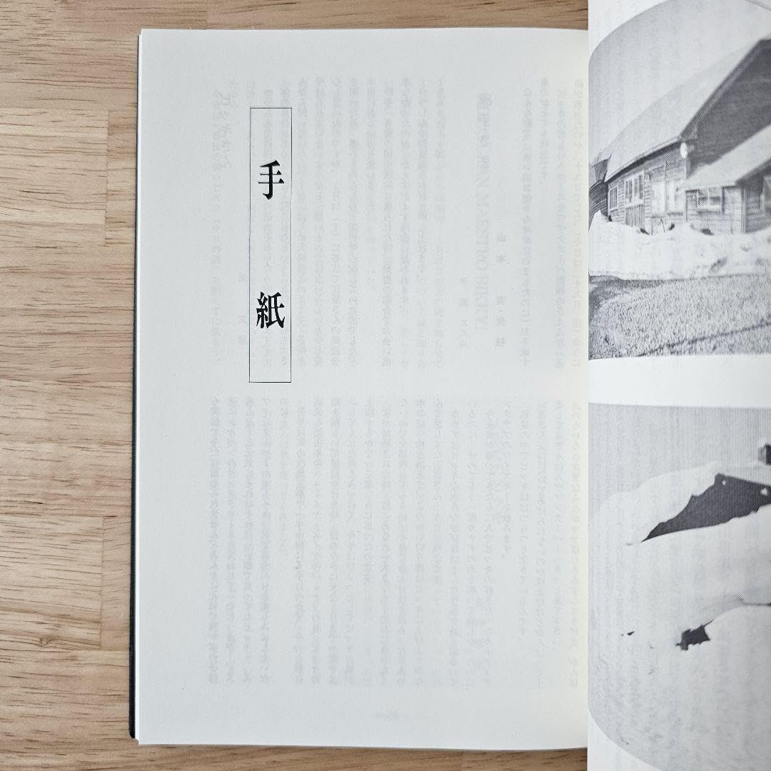 Amazon.co.jp: 木馬に乗ったビッキ -故 砂澤ビッキ葬儀記録- 1989年