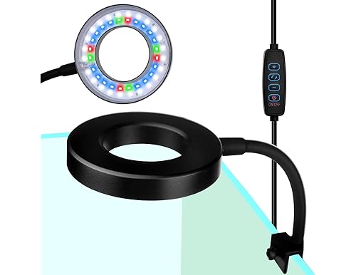 Best Fish Bowl Lights for a Brighter Aquarium Experience in 2024