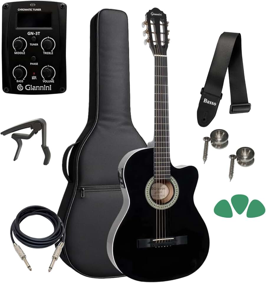 Violão Elétrico Giannini Sf14 Aço Flat Kit Capa E Acessorios