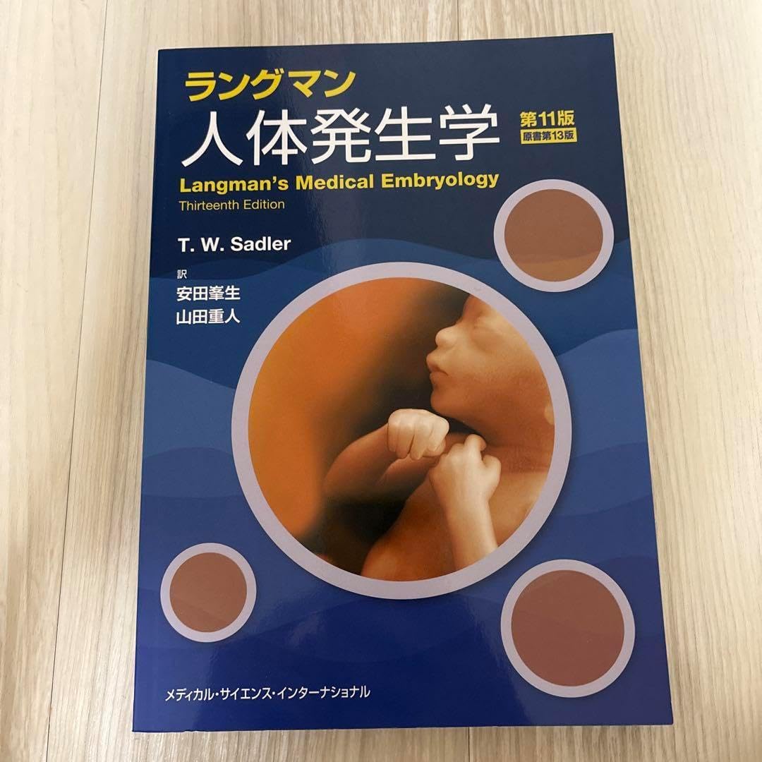 トム・クルーズとエリザベス・シュー直筆サイン入り2Lサイズ写真‥ 2025