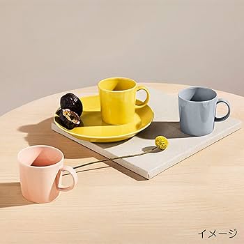 Amazon.co.jp: 【正規輸入品】 iittala(イッタラ) ティーマ 皿