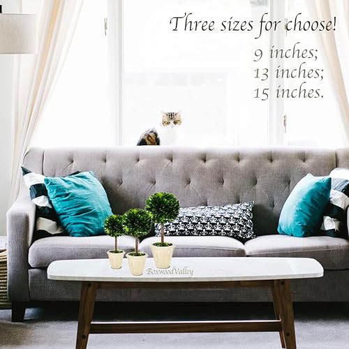 Miniatura 5 de Topiario de boj preservado natural en maceta de 15 pulgadas, impresionante vegetación y decoración de plantas, ideal para el hogar, oficina, bar,