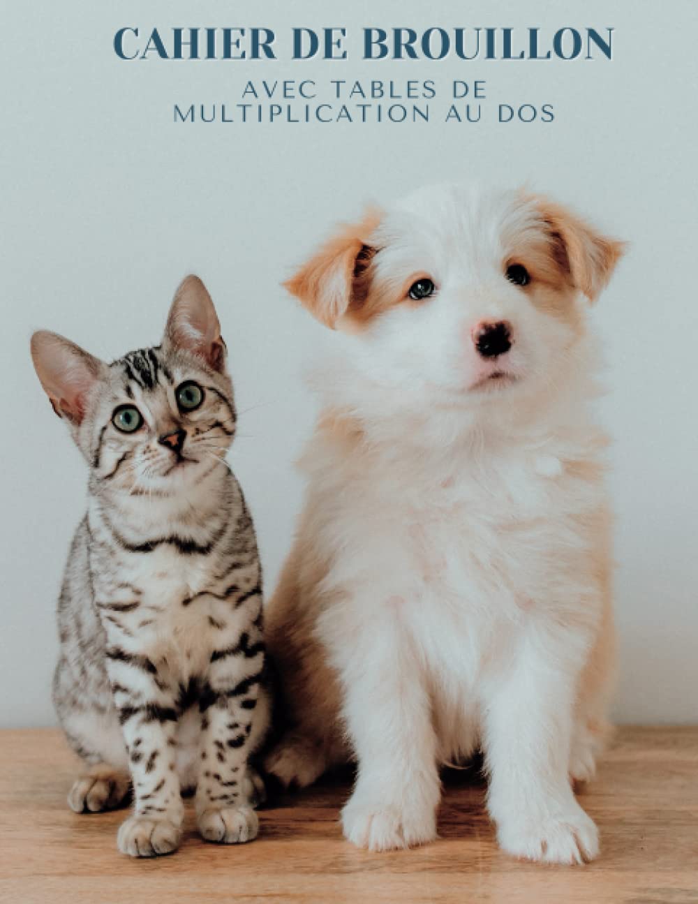 Cahier De Brouillon Avec Table De Multiplication Amazon.fr - Cahier de brouillon avec table de multiplication au dos: Cahier  de brouillon 17x22 96 pages - petit format - grands carreaux Seyes - Chat  et chien - Savoir apprendre éditions - Livres
