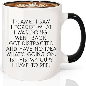 I Came I Saw I Forgot Funny Coffee Mug 12oz, Birthday Gifts for Women Men, Gag Gifts Novelty Adult for Grandma Grandpa Mom Dad Gift Mothers Day Fathers Day Christmas