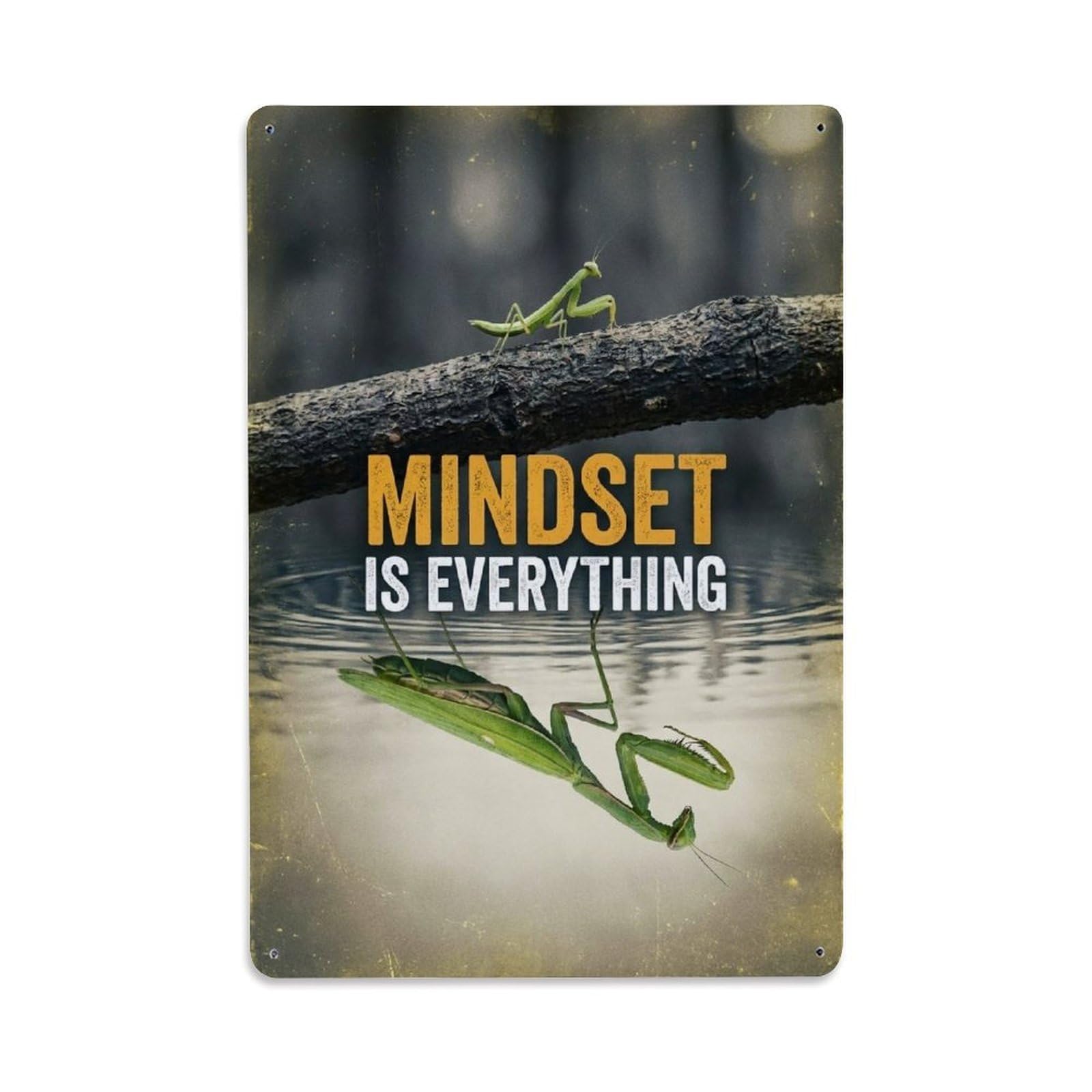 Olhnbad Style Mantis Insect Mindset Is Everything Motivational Quote Metal Tin Sign