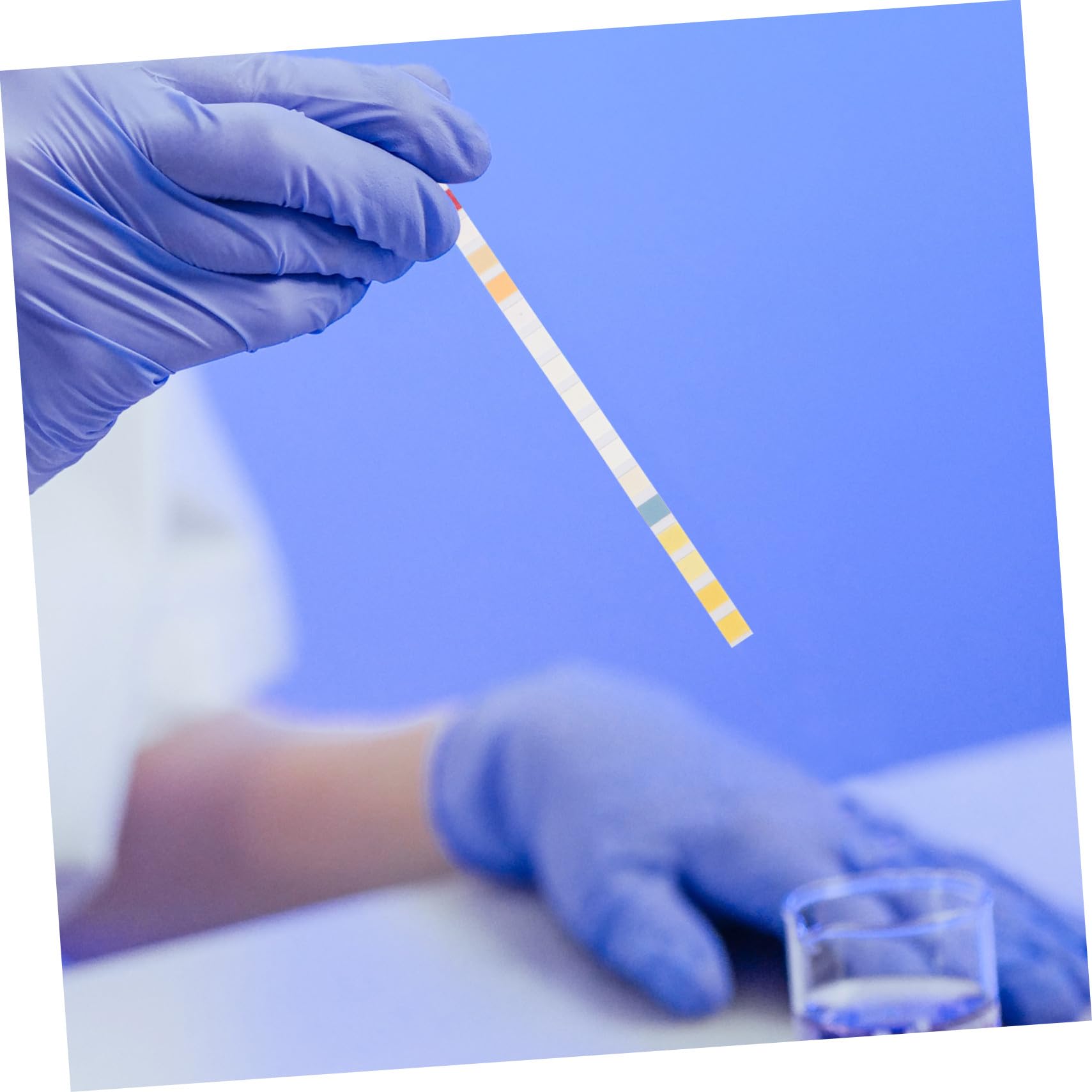 100 Stück Wasserqualität Teststreifen mit Tropfpipette und Reagenzglas Multifunktionale Ph und Wasserhärteprüfer für Trinkwasser Aquarium Leitungswasser Zuhause Schnelle Analyse