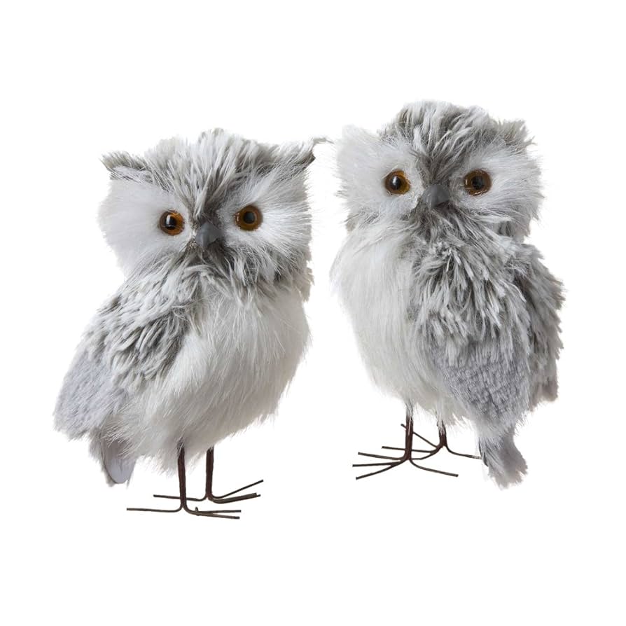 その他 Gray Sheep OWL OWL | Gray Sheep Wiki | Fandom