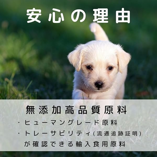【国産無添加】 馬肉100%コインサラミ 馬肉ジャーキー (100g) 犬おやつ 犬用 高たんぱく 低脂質 グルテンフリー dog snacks - 4
