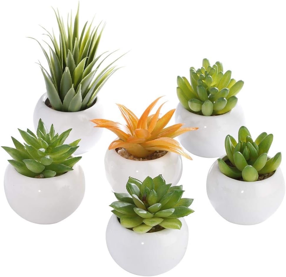 LOMIRO Artificial Succulents Potted Succulents Small Succulent Plants with White Ceramic Pots,Home,Office,Party,Wedding,Desk Decors, Modern.Set of 6