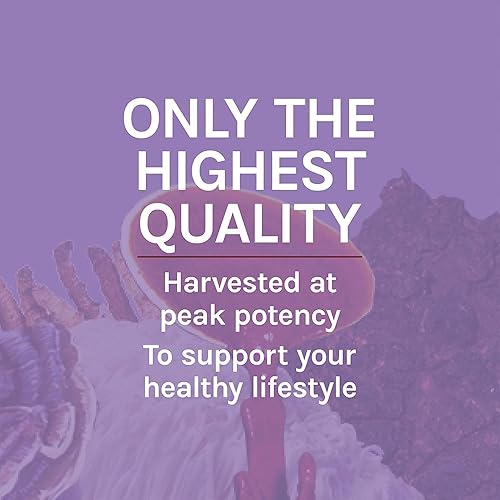 Miniatura 8 de Host Defense Hongo melena de león, NCHE60, 60, 1