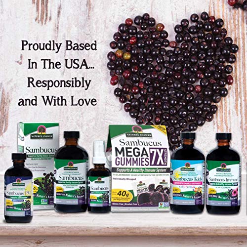Nature's Answer Sambucus Syrup Extract Spray 2 Fluid Ounces | Immune Booster On The Go | Travel Friendly | Rich In Antioxidants | Natural Immune Support #TOP2