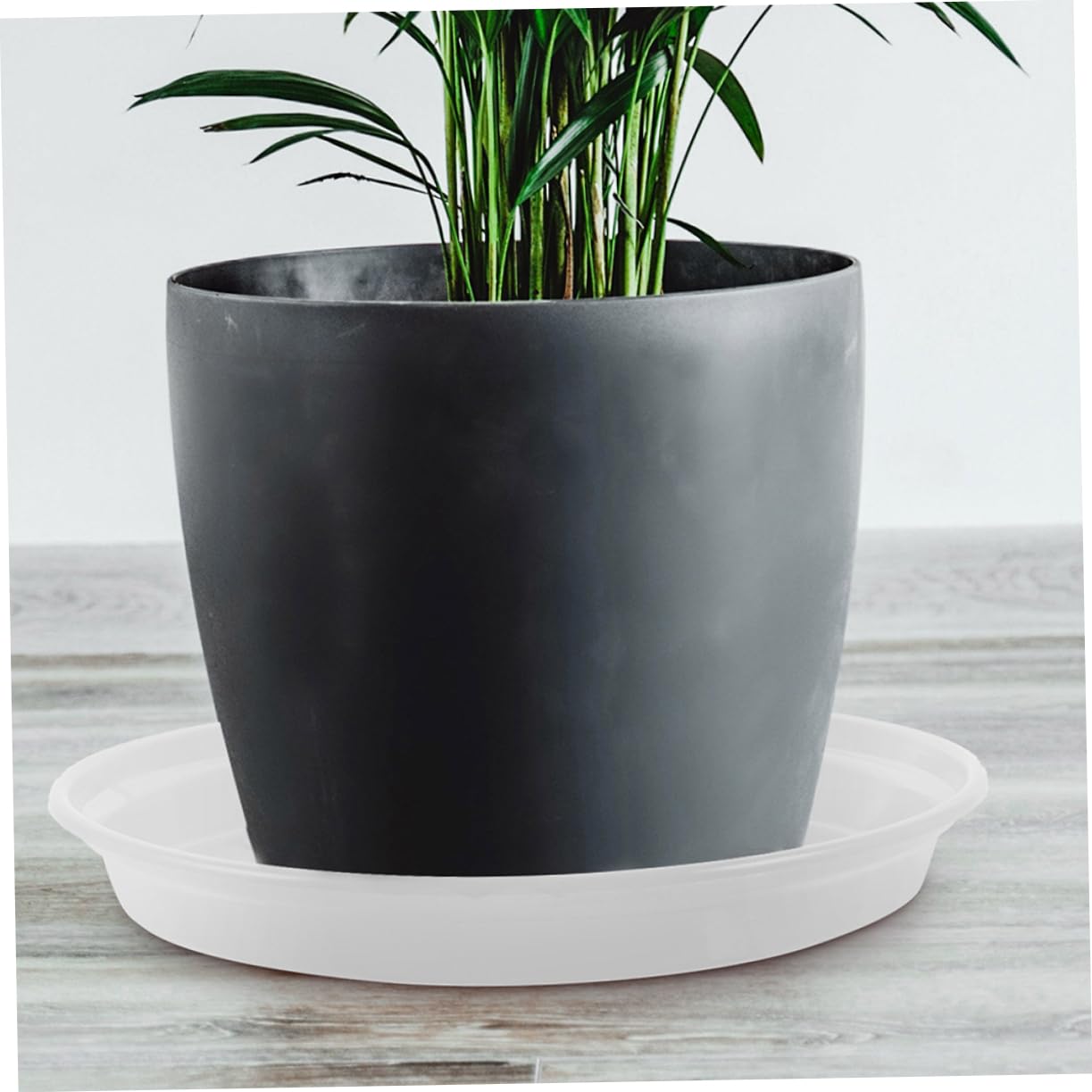 BESPORTBLE Planta 60 Piezas Bandeja de Plantas macetas platillo para Plantas al Aire Libre platillo para Maceta Agua Plato de Maceta Bandeja de Agua Bandeja de Goteo Resina PP