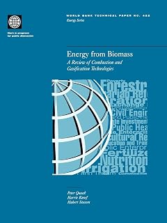 Energy from Biomass: A Review of Combustion and Gasification Technologies (422) (World Bank Technical Papers)