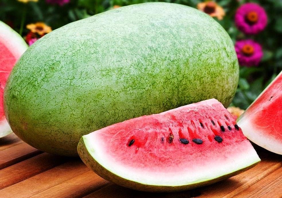 Semillas Charleston Gris Sandía Gigante Frutas No OGM para plantar