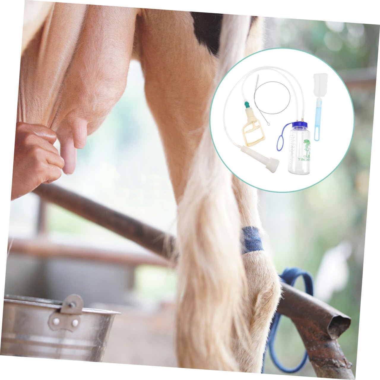 VANZACK Mungitrice Portatile Manuale Per Pecore e Mucche Completo Bottiglia Pp Trasparente Resistente e Leggera Facile Da Pulire e Trasportare Per Piccole Aziende Agricole o Uso Domestico