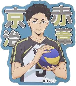 61P954hr4FL._AC_UF350,