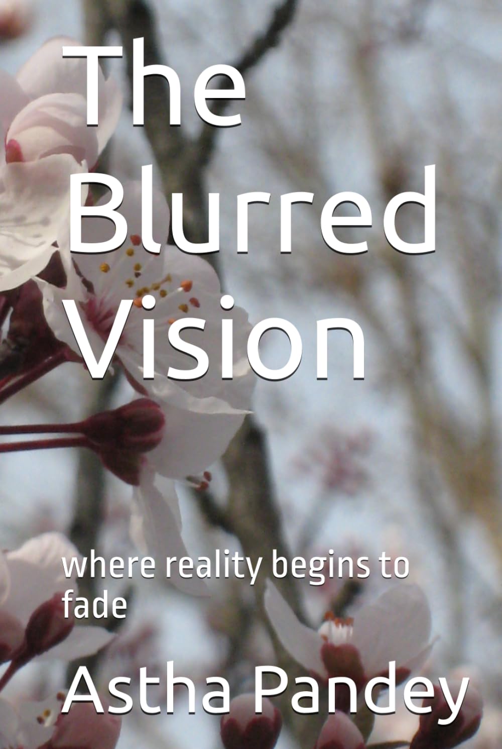 The Blurred Vision: where reality begins to fade