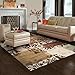 Superior Modern Storyville Scroll Collection Area Rug, 10mm Pile Height with Jute Backing, Beautiful Geometric Flourish Design, Anti-Static, Water-Repellent Rugs - 5' x 8' Rug