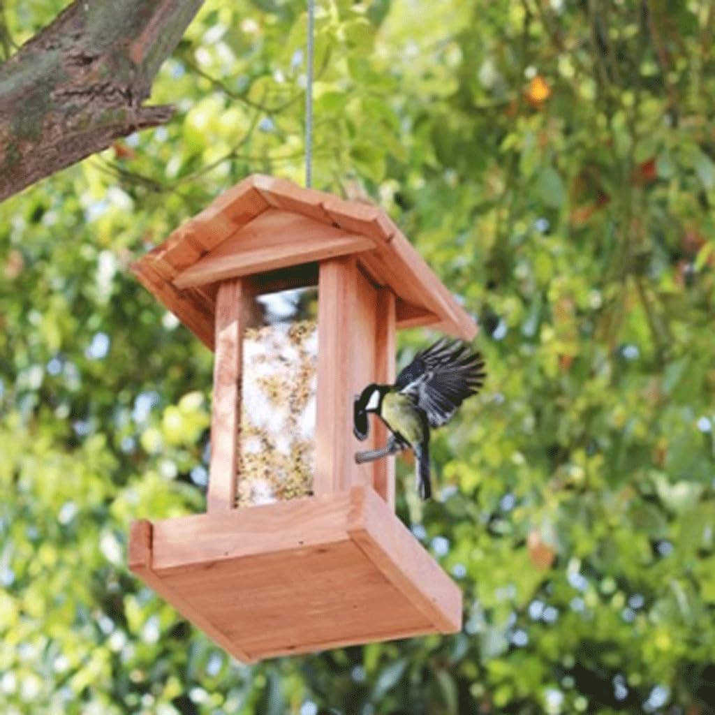 Karmnik dla ptaków Vogelvoederhuis Eekhoornbestendig Vogelkantine Weerbestendig Transparant Vogelvoeder voor Mix Seed Blends Tuinbalkon