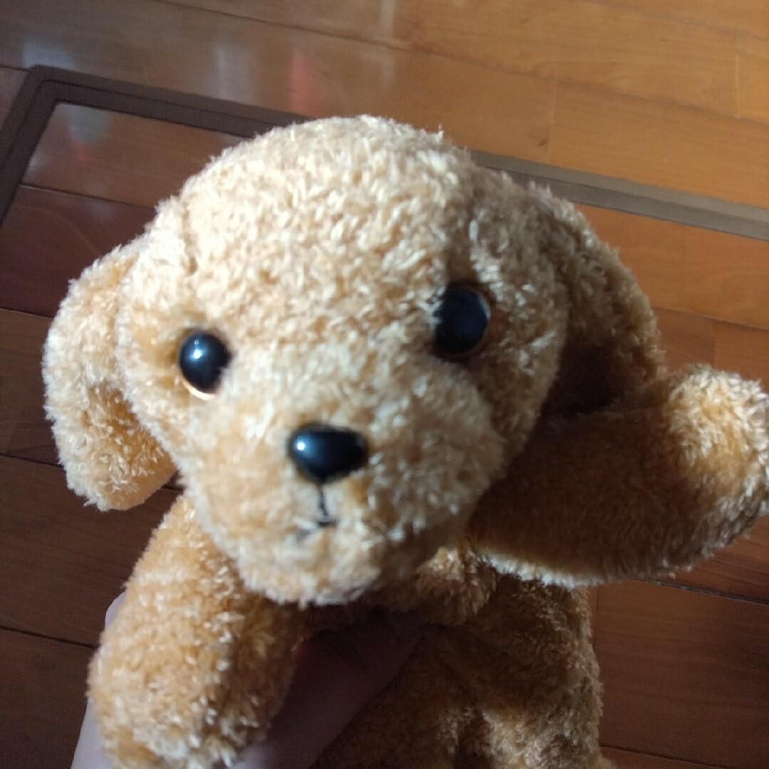 ぱくちゃんさませんようトイプードルのぬいぐるみ Amazon | おいでよ ワンちゃんシリーズ ぬいぐるみ トイプードル