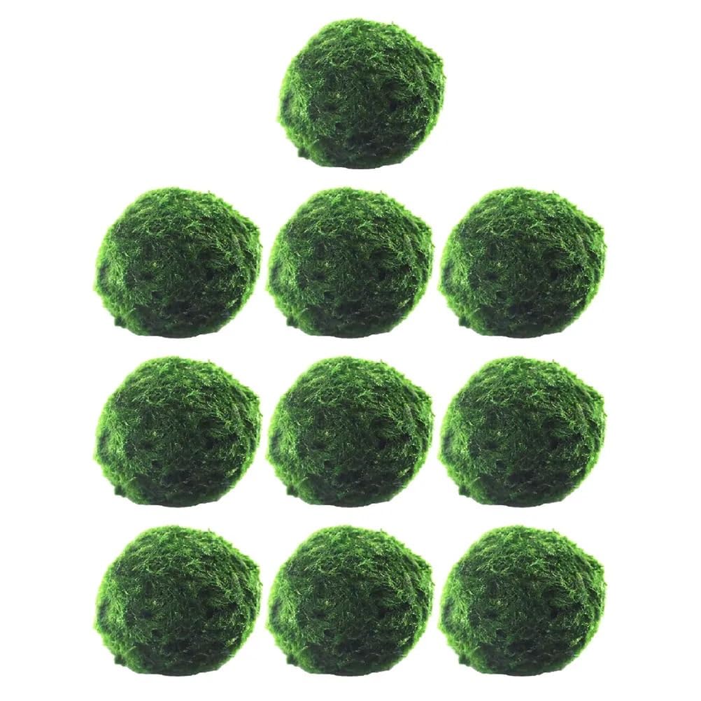 LTYKNGH Aquarium Plants 10pcs Hydroponic Algae Balls Bonsai Aquatic Plants For Fish Tank Aquarium Supplies Needed Easy Care Green