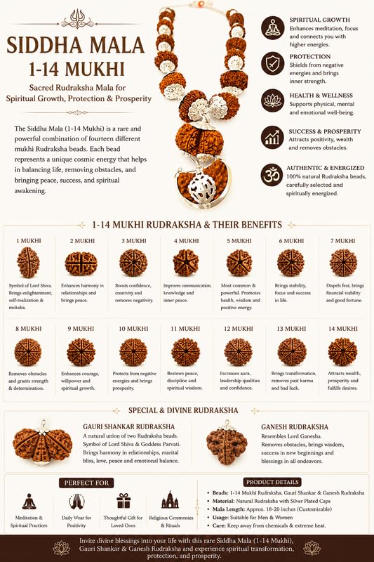 ELARIS CRYSTALS Genuine Sarva Siddha Mala Nepal Pure Siddhi Mala with Gaurishankar & Ganesh Rudraksha AA++ Quality 1 se 14 Mukhi Rudraksha Maala Original Certified Siddha सर्व सिद्ध रुद्राक्ष माला 4