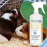 Geruchsneutralisierer Spray gegen Gerüche von Katzen-Urin - 5