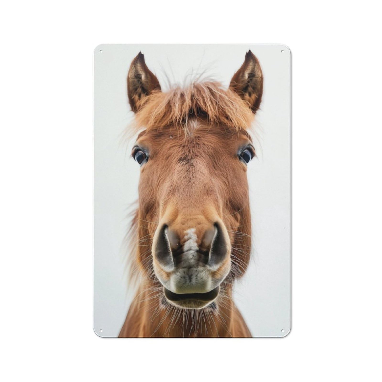 Junmoney Horse Face Tin Wall Plaque 30X20cm With For Man Cave Or Games Room, A New Home Present For Leisure-Room Decor Enthusiasts