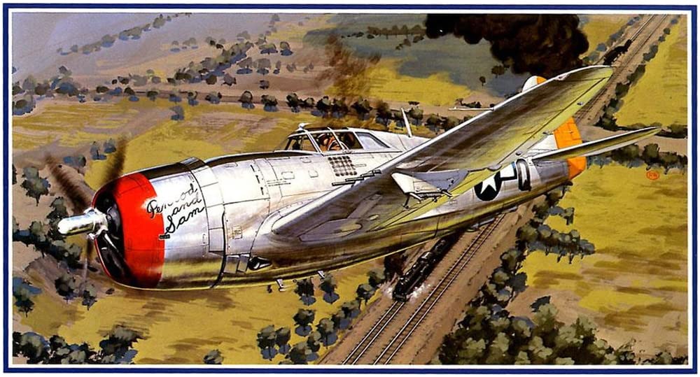 Amazon | マイクロエース 1/48 大戦機シリーズ No.16 アメリカ陸軍 リ