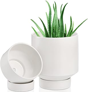 DEAYOU 2-Pack Ceramic Planter Small, Plant Pots with Drainage Hole and Saucer, 5.5" and 4.3" Desktop White Planter, Porcelain Modern Flower Pot for Table, Terracotta Pots for Indoor Plants, Succulent