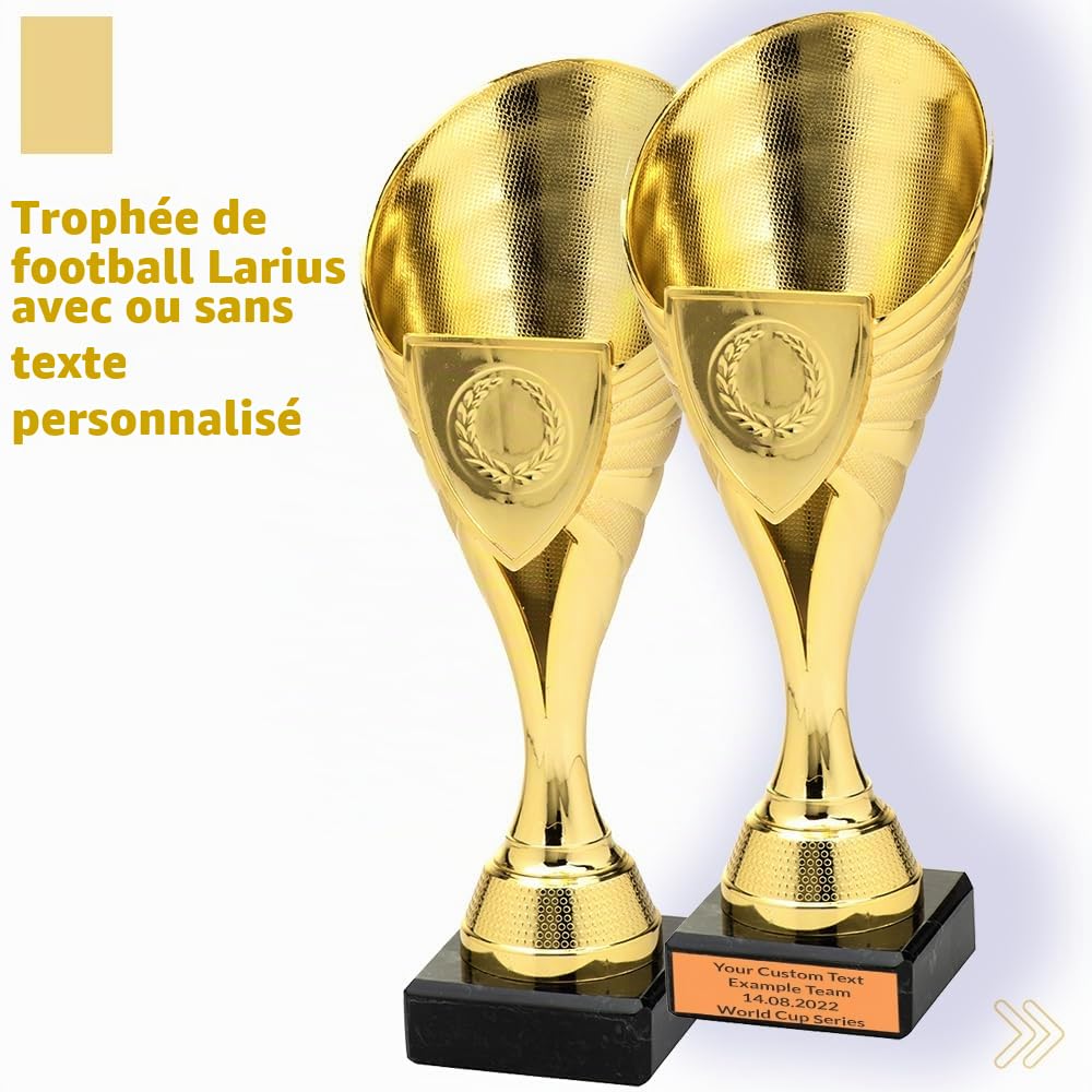 Larius Coupe (21 cm, 220 g) - Trophée élégant et universel avec socle en marbre - Personnalisable - Idéal pour le sport, l'école, les compétitions et les récompenses - B1