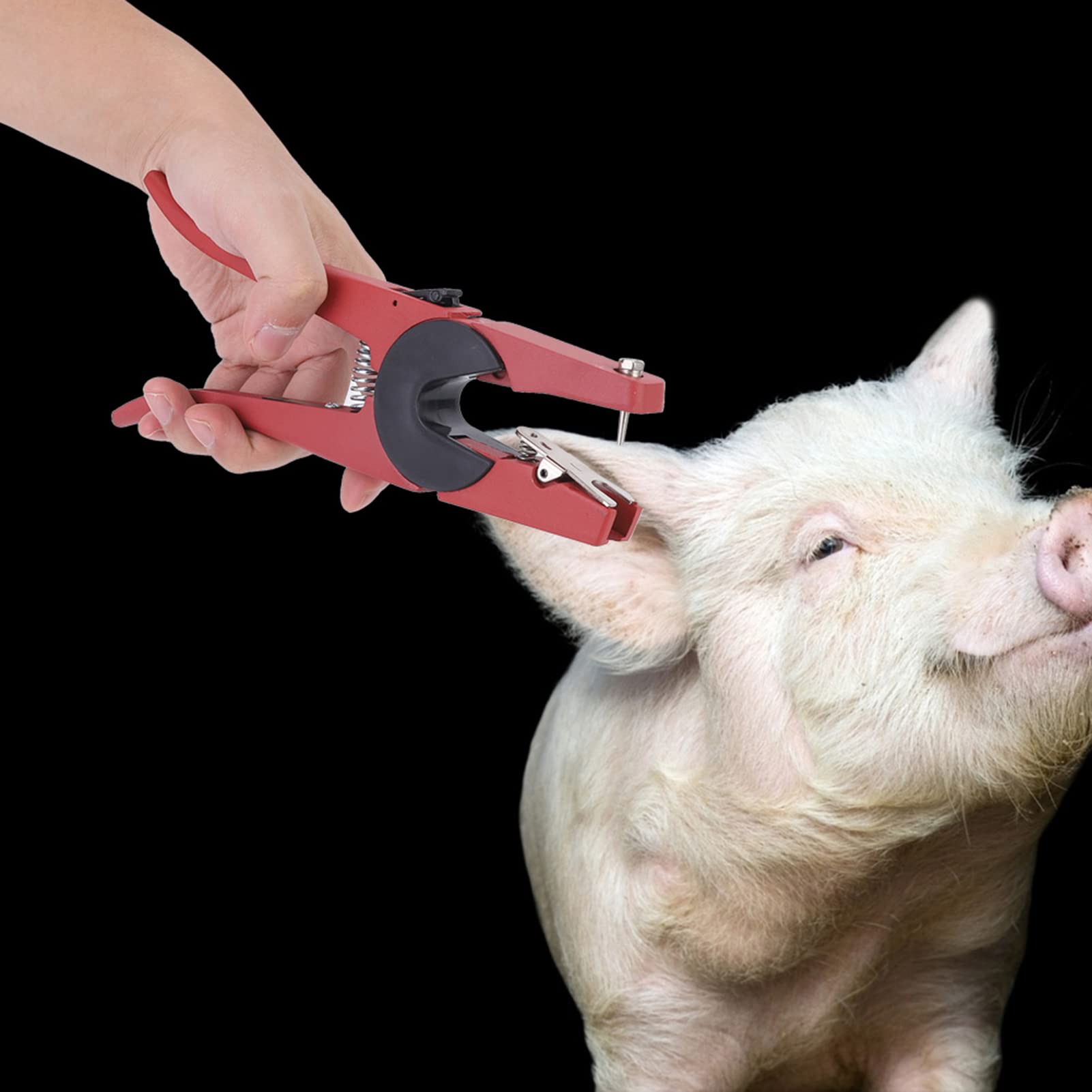 Zerodis Pince pour étiquettes D'oreille de Bétail, Outil D'identification D'animaux Indolore avec Ressort Solide et Poignée Antidérapante, pour Porcs, Moutons, Bovins, Chèvres, Chiens