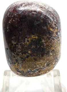 30mm 135ct Dark Red Orange Black Palm Root Petrified Wood Pebble Polished Natural Fossilized Gemstone Crystal Mineral Tumble Stone Cab Specimen - Indonesia