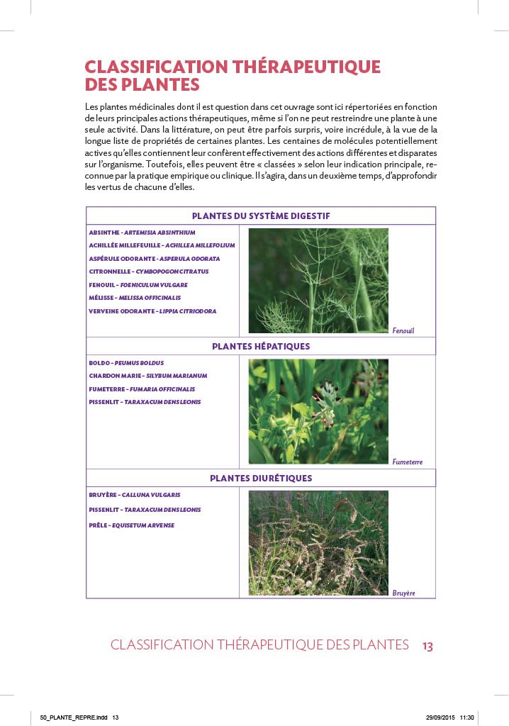 55 plantes médicinales dans mon jardin: Les cultiver, les récolter, les conserver