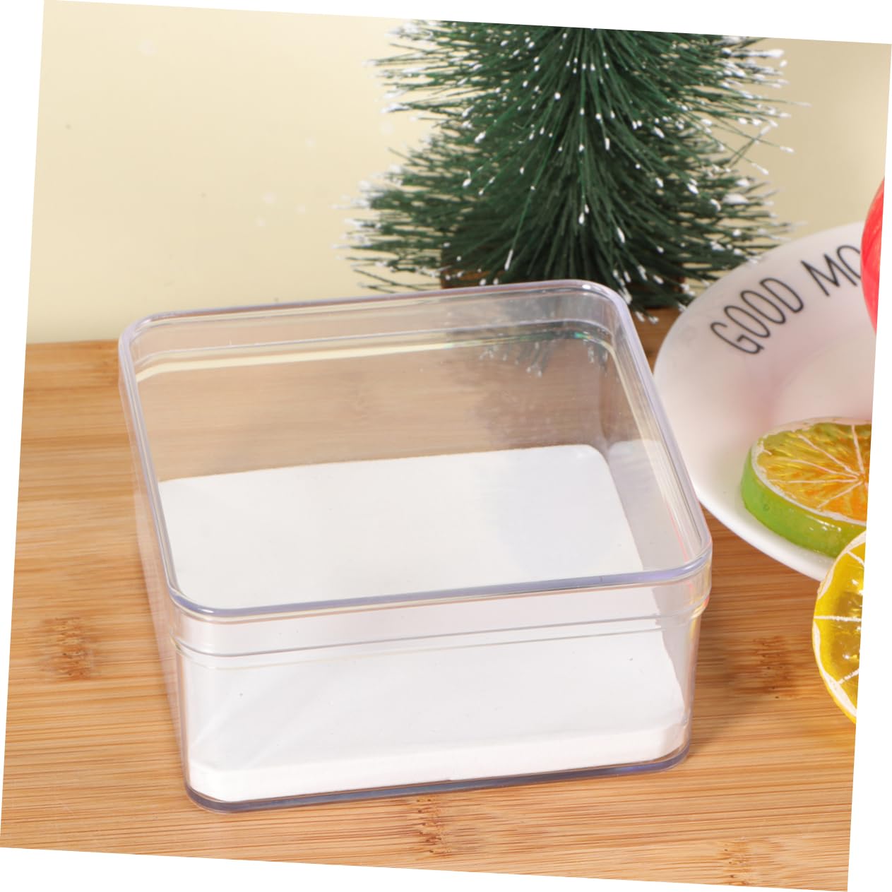 Specimen Box with Lid for Coins and Small Photos | Plastic Construction, Multifunctional Use, Protects Specimens from Damage, Viewing, Compact Display for Collections