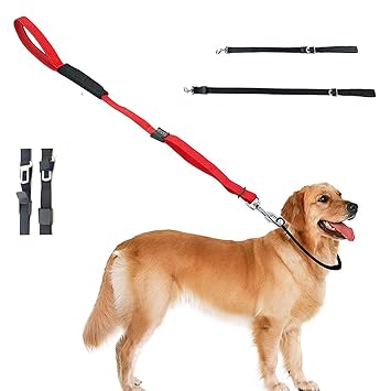 Pups&Pets Adjustable Length Nylon Webbing Leash | Universal Durable Padded Handle Leash | Pets car seat Belt for Cats Breed Dogs (Color May Vary)