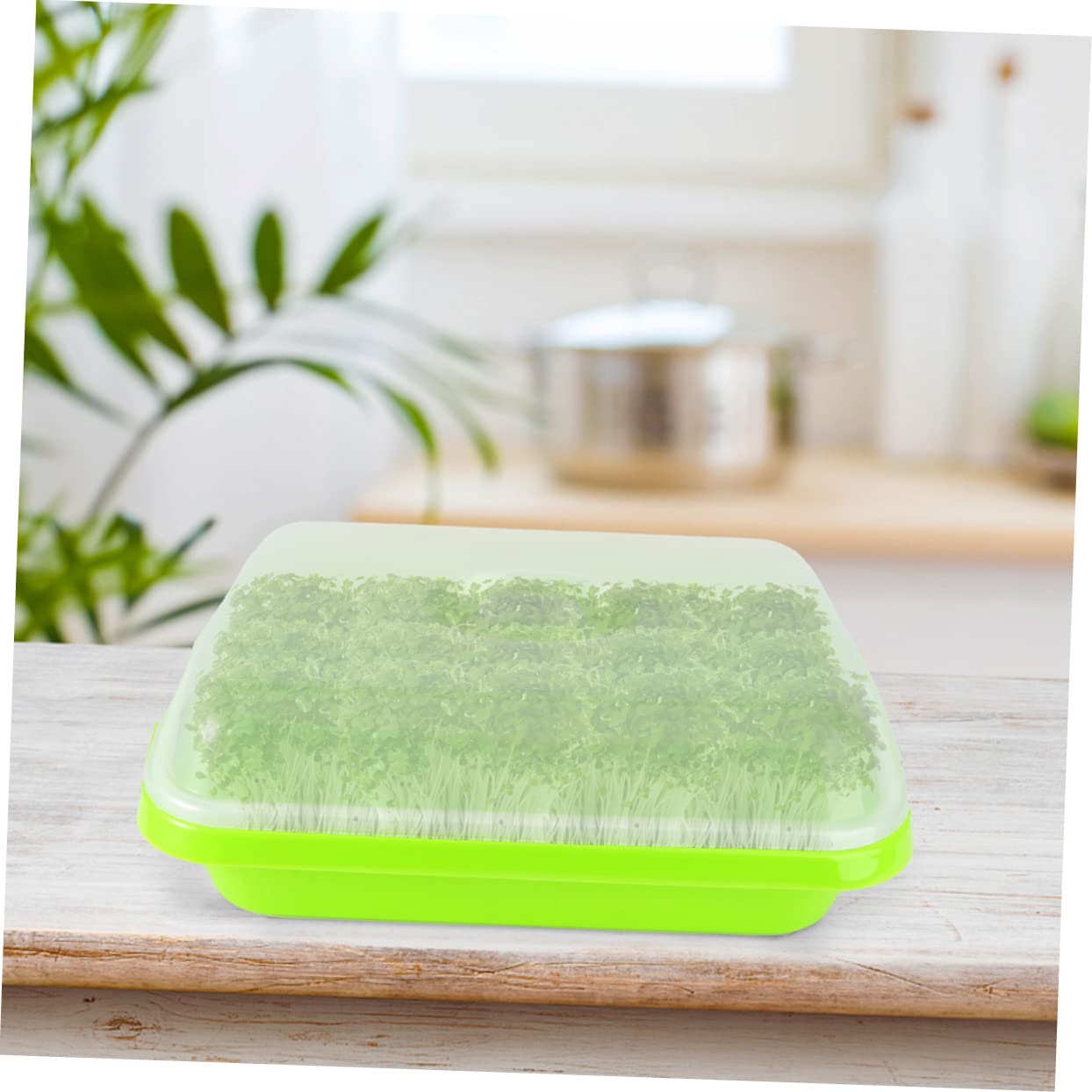 Bandeja de Cultivo para Brotes Tapa, 2 Juegos, Plástico Verde