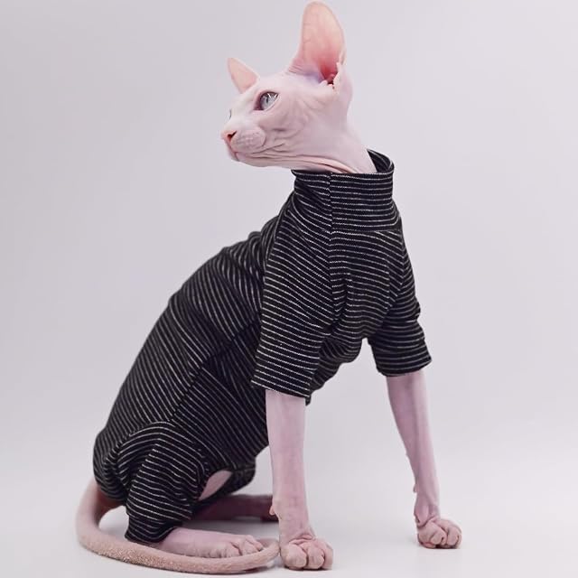 Foto 2 de 6 de Ropa de gato sin pelo de terciopelo de cuatro patas, ropa cálida de otoño e invierno para gato Sphynx