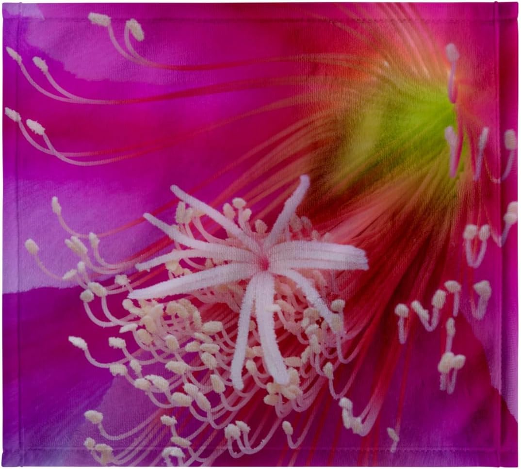 3dRose Orchid Cactus Flower, Epiphyllum ackermannii - NA01 BJA0132 - Jaynes Gallery 22x30 Bath Hand Pool Towel