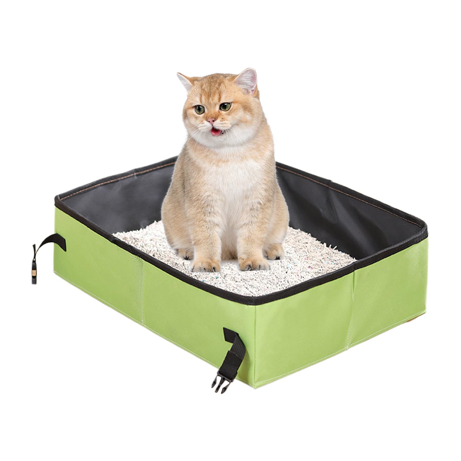 Litière pour chat pliable finies les fuites en voiture