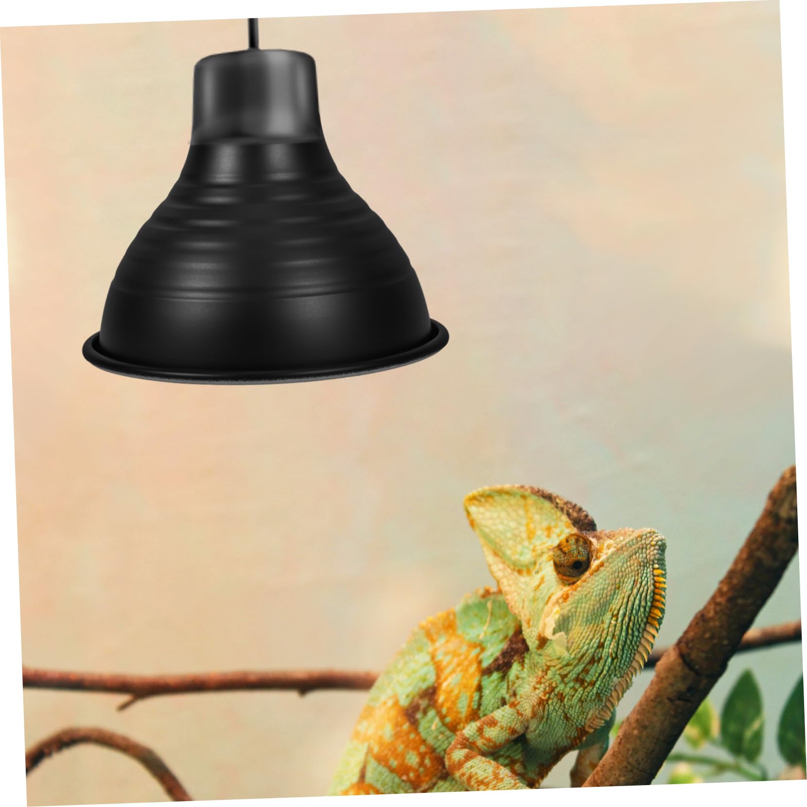 PRETYZOOM 5 Pezzi Di Paralume Isolante Per Lampada Di Calore Per Recinti Per Rettili Facile Da Installare