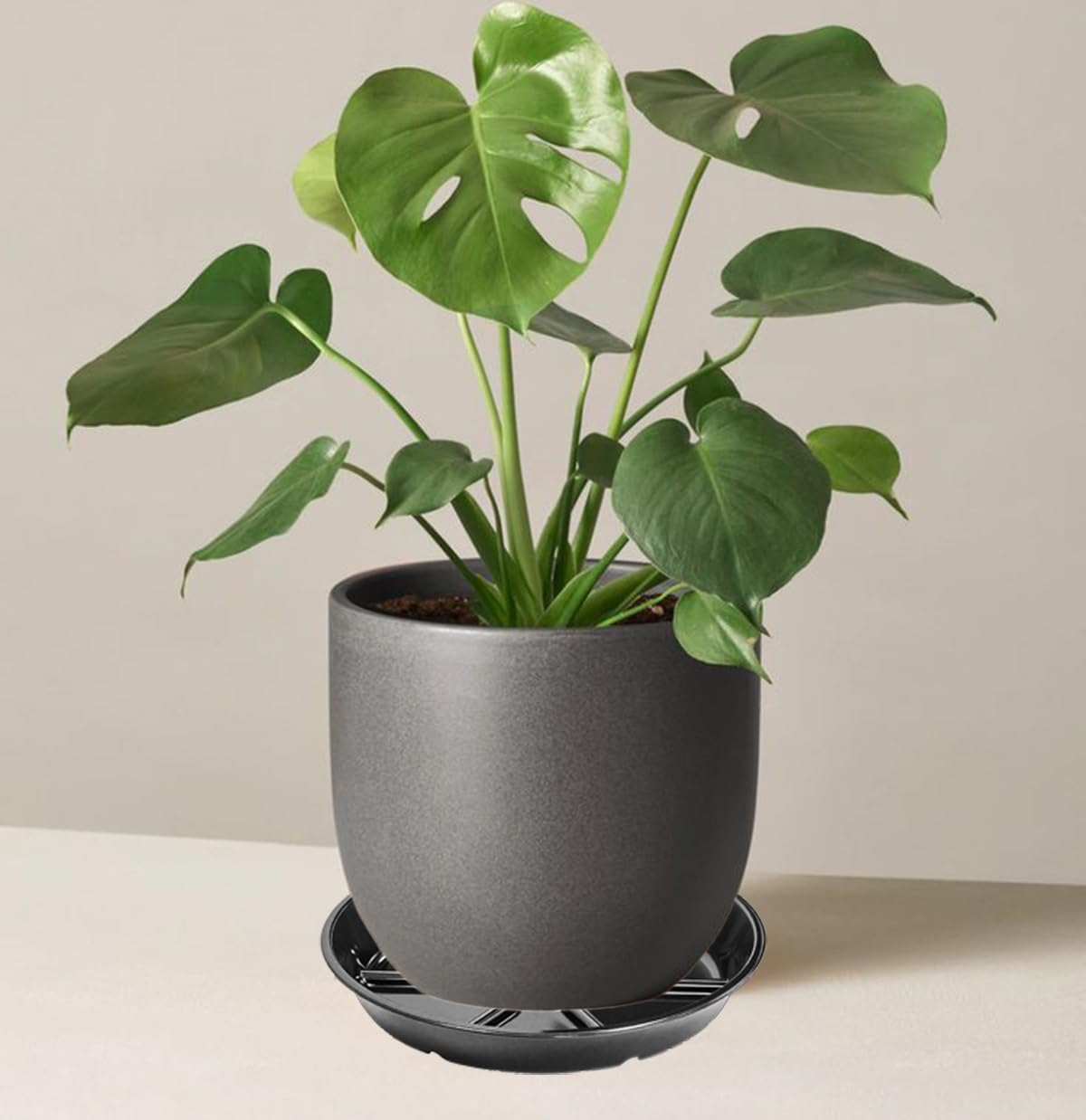 2パック 12インチ 植物受け皿 屋内用、耐久性のある植物受け皿ポットトレイ、ラウンドプラスチックフラワープラントデ 【クリップオン】