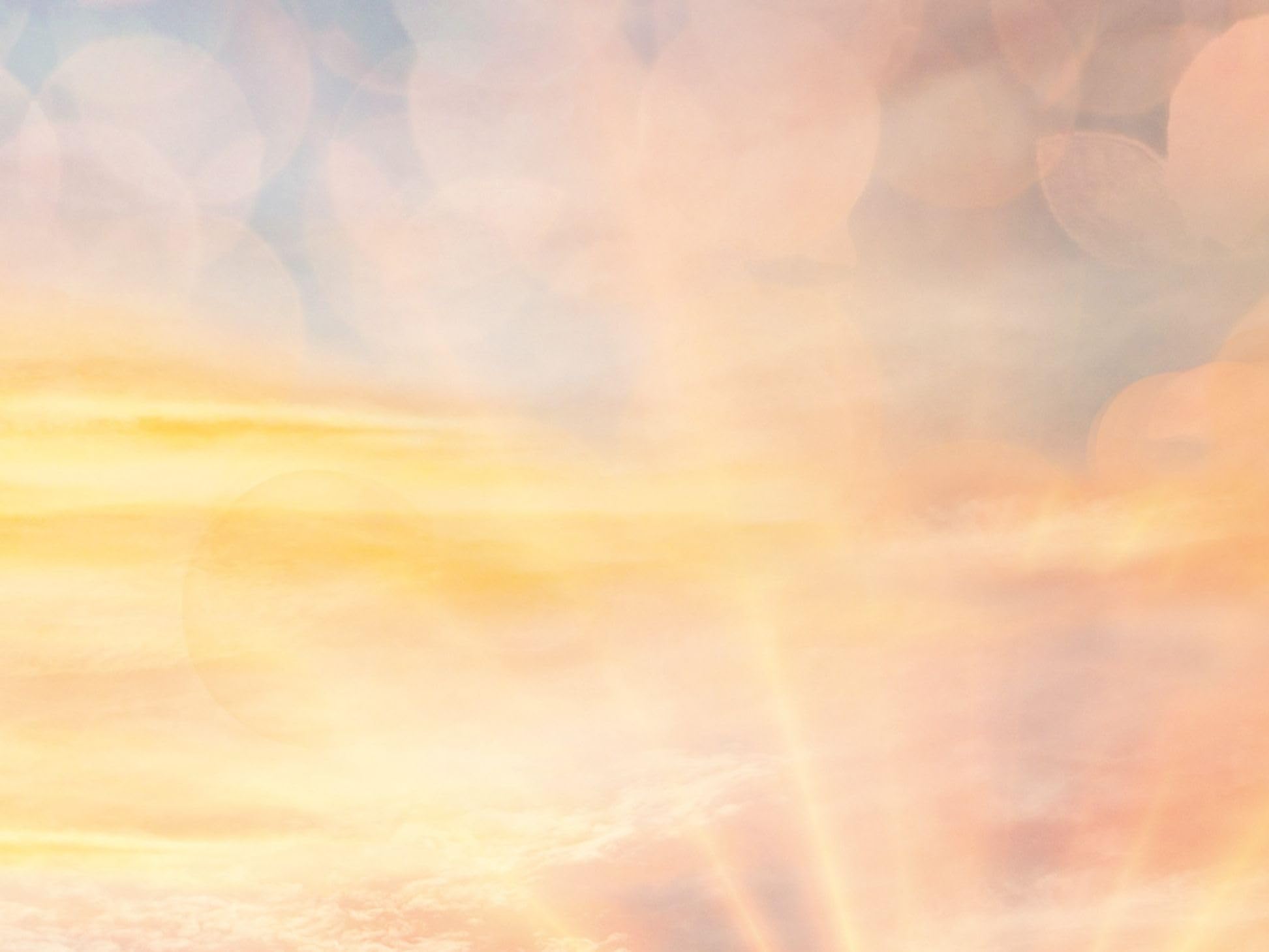 Pferdeflüsterer-Academy