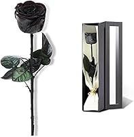 Vista 17 de Flores Rosadas para Entrega Prime, Rosas Rosadas Preservadas Regalos de Flores para Mujeres, Rosas Reales Regalos de Rosa Individual para Ella