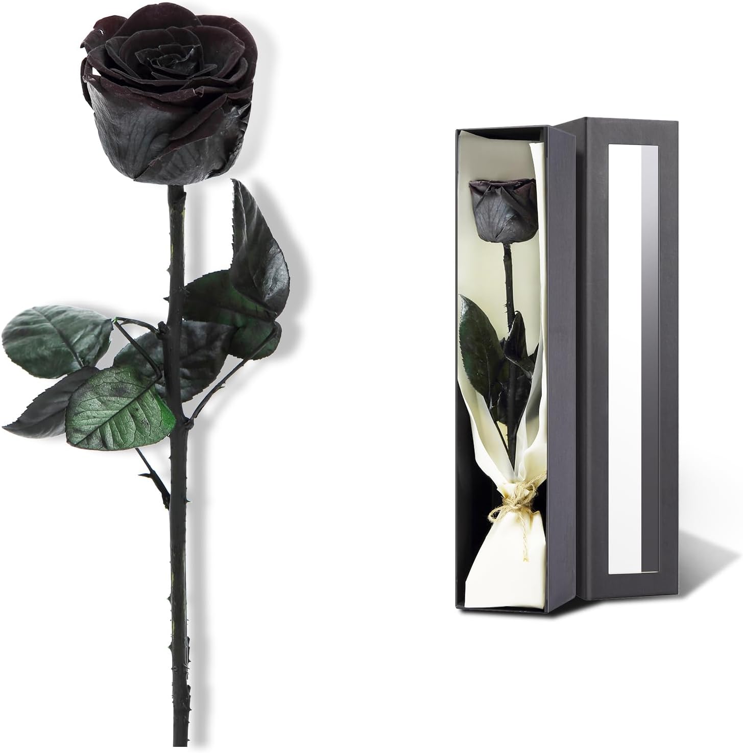 - Preserved Rose, Preserved Flowers for Delivery Prime, Single Rose Flower Gifts for Women, Real Rose Gifts for Her, Birthday Gifts, Valentines Flowers for Girlfriend - Black