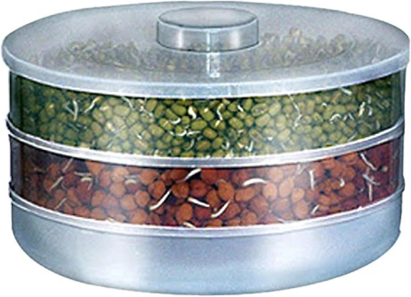 BAY Plastic Sprout Maker with 3 Compartments, 3 Cups (Transparent)